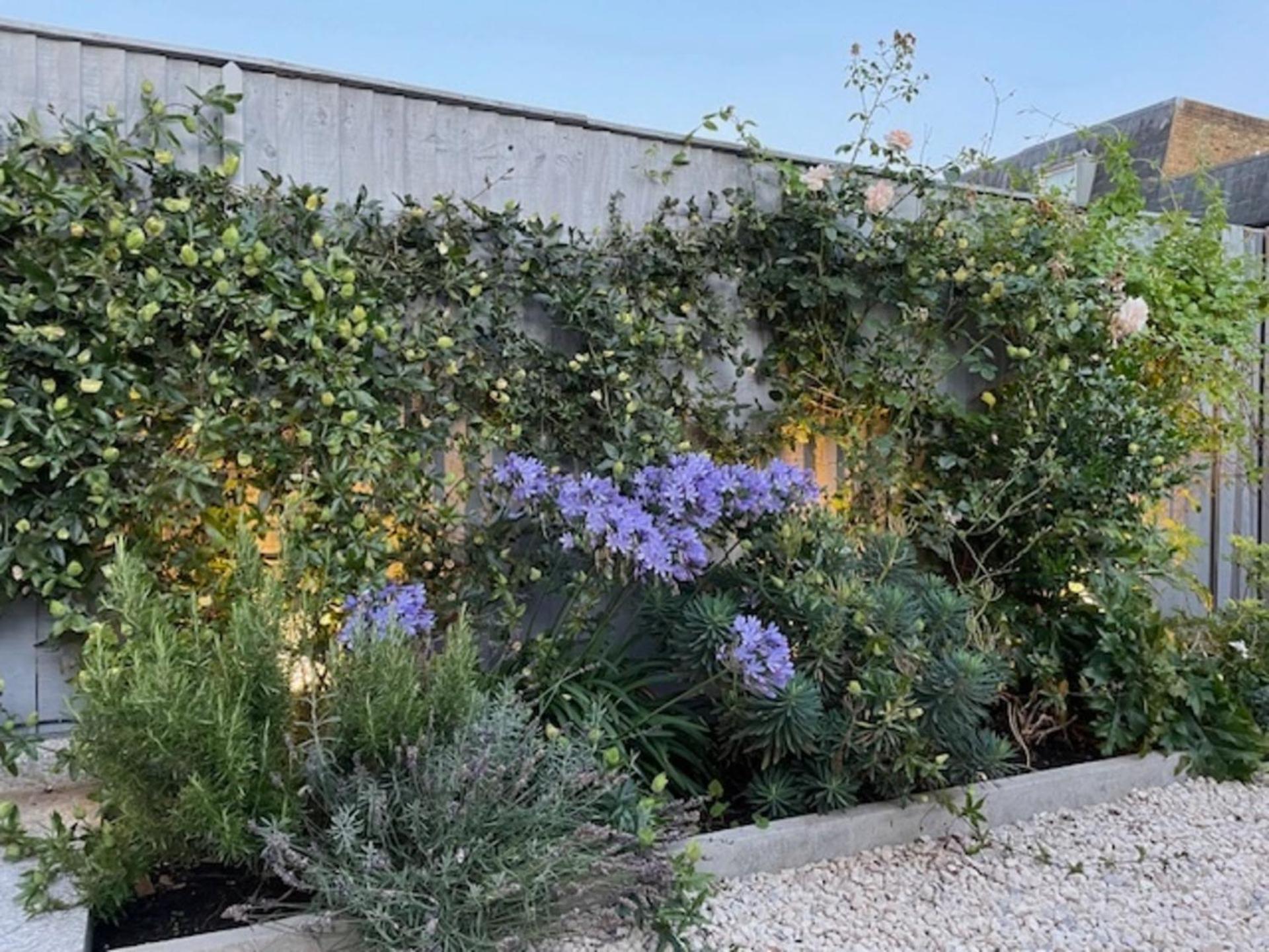 Charming 4bd 6 Mins From Nine Elms Station